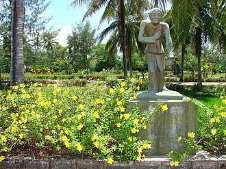 A Letter from My Lai 
